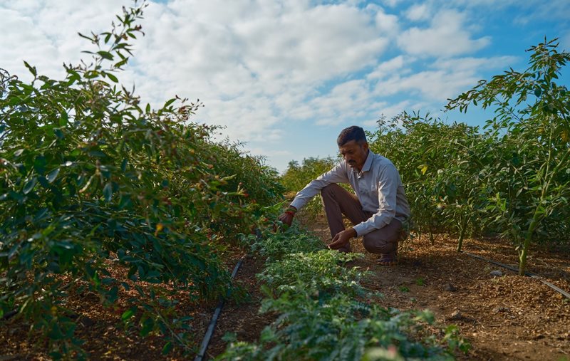 Ensuring holistic development of communities  