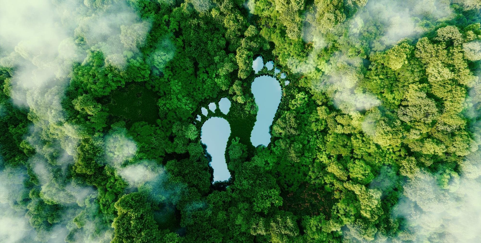 Environment