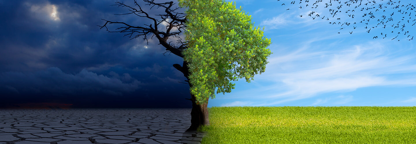Climate Change